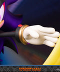 Sonic the Hedgehog™ – Shadow the Hedgehog: Chaos Control (Standard Edition)  (launchphoto_shadow_stn_12.jpg)