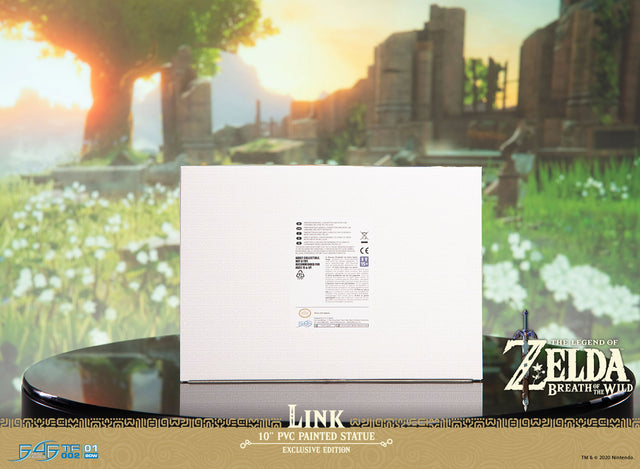 The Legend of Zelda™: Breath of the Wild – Link (Exclusive Edition) (link_exc_30.jpg)