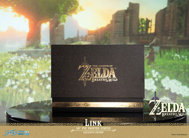 The Legend of Zelda™: Breath of the Wild – Link (Exclusive Edition) (link_exc_33.jpg)