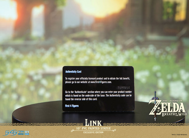 The Legend of Zelda™: Breath of the Wild – Link (Exclusive Edition) (link_exc_36.jpg)