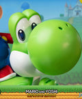 Super Mario – Mario and Yoshi Definitive Edition (m_y_def_h-11.jpg)