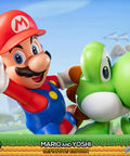 Super Mario – Mario and Yoshi Definitive Edition (m_y_def_h-46.jpg)