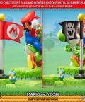 Super Mario – Mario and Yoshi Definitive Edition (m_y_def_h-60.jpg)