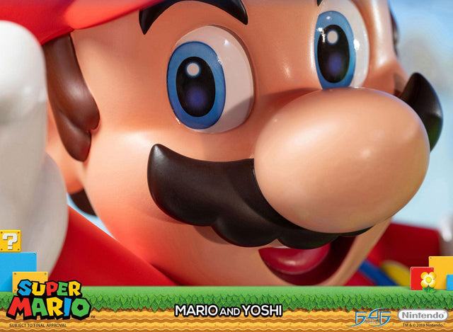 Super Mario – Mario and Yoshi Standard Edition (m_y_r-h-10.jpg)