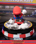 Mario Kart PVC - Exclusive Edition (mariokartex_03.jpg)