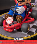 Mario Kart PVC - Exclusive Edition (mariokartex_22.jpg)