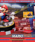 Mario Kart PVC - Exclusive Edition (mariokartex_4k.jpg)