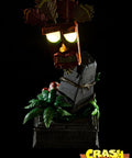 Crash Bandicoot™- Mini Aku Aku Mask Combo Companion Edition  (miniakuakumask-combo-v-25.jpg)