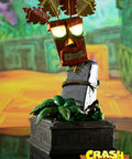 Crash Bandicoot™- Mini Aku Aku Mask Combo Companion Edition  (miniakuakumask-combo-v-34.jpg)