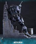 Solid Snake (Exclusive) (_new_snake_exc_horizontal_16.jpg)