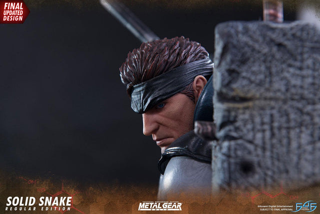 Solid Snake (Regular) (_new_snake_reg_horizontal_16_1.jpg)