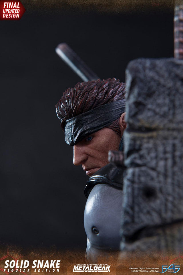 Solid Snake (Regular) (_new_snake_reg_vertical_09_1.jpg)