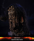 Dark Souls™ – Gravelord Nito (Standard Edition) (nitostn-03.jpg)