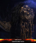 Dark Souls™ – Gravelord Nito (Standard Edition) (nitostn-11.jpg)