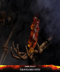 Dark Souls™ – Gravelord Nito (Standard Edition) (nitostn-15.jpg)