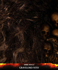 Dark Souls™ – Gravelord Nito (Standard Edition) (nitostn-19.jpg)