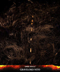 Dark Souls™ – Gravelord Nito (Standard Edition) (nitostn-21.jpg)