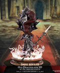 Dark Souls™ II – Old Dragonslayer SD (Exclusive Edition) (ornsteinsd_silver_07.jpg)
