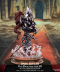 Dark Souls™ II – Old Dragonslayer SD (Exclusive Edition) (ornsteinsd_silver_14.jpg)