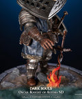 Dark Souls - Oscar, Knight of Astora SD (Standard Edition) (oscarsd_st_15.jpg)