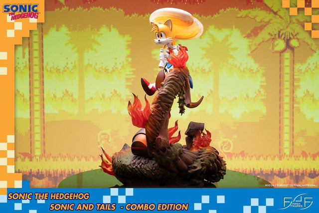 Sonic the Hedgehog – Sonic and Tails Combo Edition (s_t_combo_10.jpg)