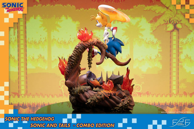 Sonic the Hedgehog – Sonic and Tails Combo Edition (s_t_combo_11.jpg)