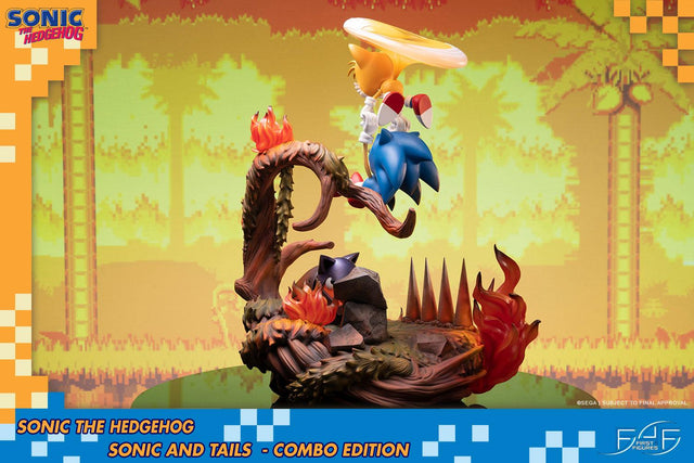 Sonic the Hedgehog – Sonic and Tails Combo Edition (s_t_combo_12.jpg)