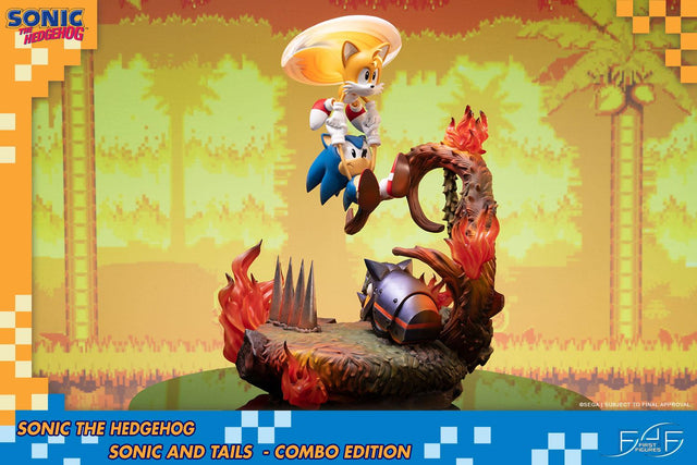 Sonic the Hedgehog – Sonic and Tails Combo Edition (s_t_combo_16.jpg)