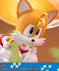 Sonic the Hedgehog – Sonic and Tails Combo Edition (s_t_combo_18.jpg)
