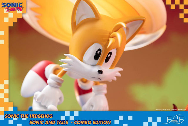 Sonic the Hedgehog – Sonic and Tails Combo Edition (s_t_combo_18.jpg)