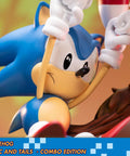 Sonic the Hedgehog – Sonic and Tails Combo Edition (s_t_combo_19.jpg)
