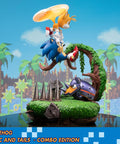 Sonic the Hedgehog – Sonic and Tails Combo Edition (s_t_combo_42.jpg)
