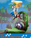 Sonic the Hedgehog – Sonic and Tails Combo Edition (s_t_combo_45.jpg)