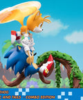 Sonic the Hedgehog – Sonic and Tails Combo Edition (s_t_combo_47.jpg)