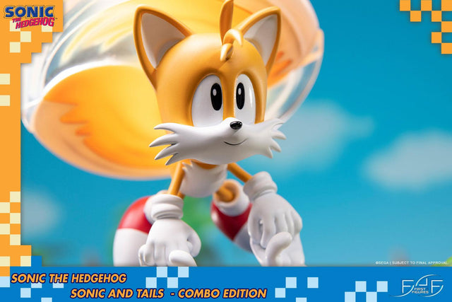 Sonic the Hedgehog – Sonic and Tails Combo Edition (s_t_combo_49.jpg)