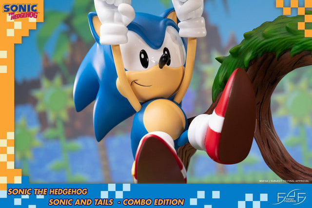 Sonic the Hedgehog – Sonic and Tails Combo Edition (s_t_combo_53.jpg)