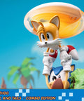 Sonic the Hedgehog – Sonic and Tails Combo Edition (s_t_combo_60.jpg)