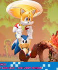 Sonic the Hedgehog – Sonic and Tails Exclusive Edition (s_t_exc_h01.jpg)