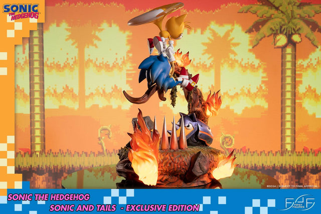 Sonic the Hedgehog – Sonic and Tails Exclusive Edition (s_t_exc_h06.jpg)
