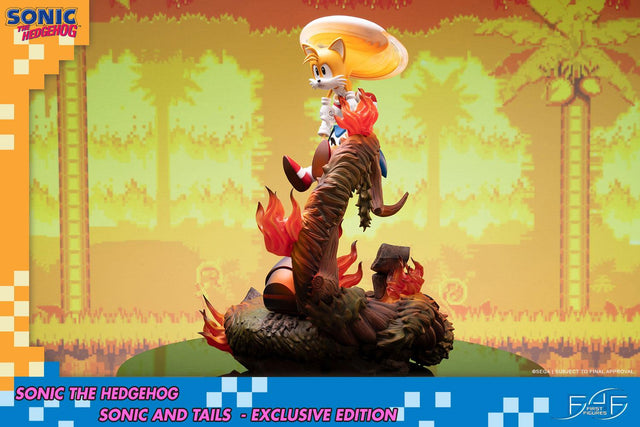 Sonic the Hedgehog – Sonic and Tails Exclusive Edition (s_t_exc_h10.jpg)