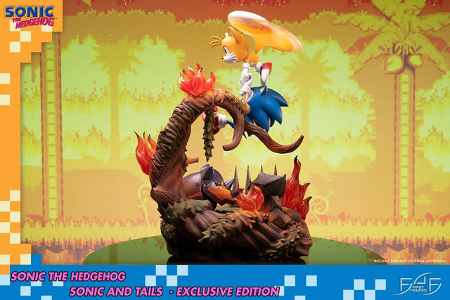 Sonic the Hedgehog – Sonic and Tails Exclusive Edition (s_t_exc_h11.jpg)