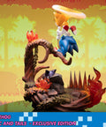 Sonic the Hedgehog – Sonic and Tails Exclusive Edition (s_t_exc_h12.jpg)