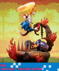Sonic the Hedgehog – Sonic and Tails Exclusive Edition (s_t_exc_h15.jpg)