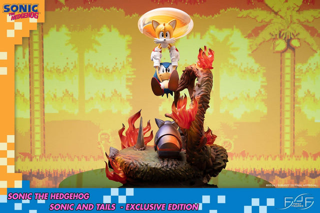 Sonic the Hedgehog – Sonic and Tails Exclusive Edition (s_t_exc_h17.jpg)