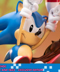 Sonic the Hedgehog – Sonic and Tails Exclusive Edition (s_t_exc_h19.jpg)