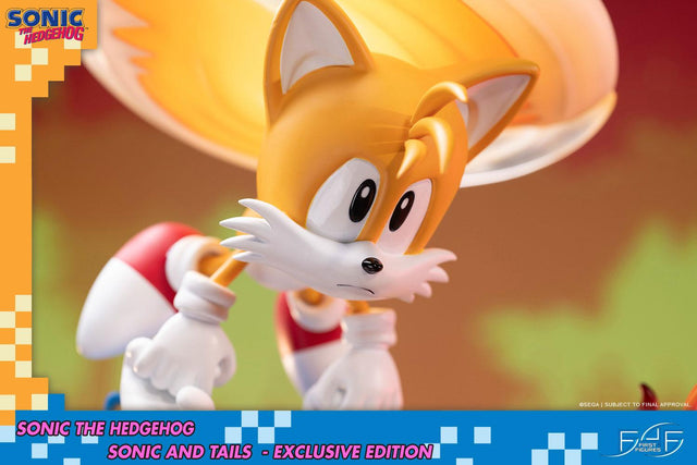 Sonic the Hedgehog – Sonic and Tails Exclusive Edition (s_t_exc_h20.jpg)