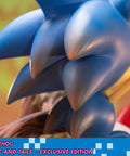 Sonic the Hedgehog – Sonic and Tails Exclusive Edition (s_t_exc_h21.jpg)
