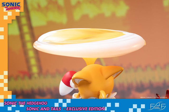 Sonic the Hedgehog – Sonic and Tails Exclusive Edition (s_t_exc_h22.jpg)