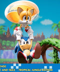 Sonic the Hedgehog – Sonic and Tails Tropical Jungle Edition (s_t_jungle_h01.jpg)