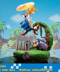 Sonic the Hedgehog – Sonic and Tails Tropical Jungle Edition (s_t_jungle_h07.jpg)